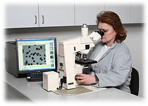 optical microscope